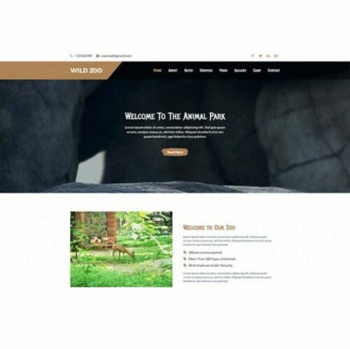 Wild Zoo One Page - HTML Template